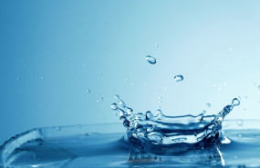 fotos web nutri balance fotos web nutri balance