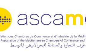 logo ascame logo ascame