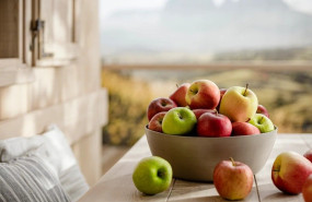 manzanas 1 manzanas 1