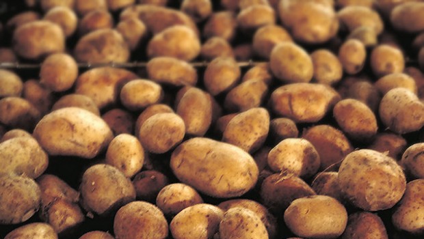 papas peru potatoes