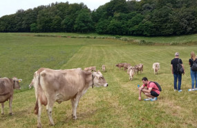 r4d visita 2 r4d visita 2