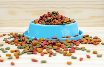 1603719153 macota planet variedas productos