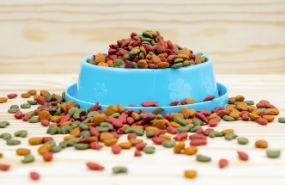 1603719153 macota planet variedas productos 1603719153 macota planet variedas productos