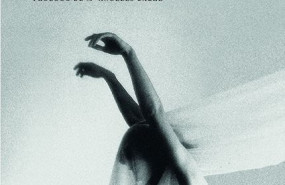 1606905942 mosca dome stica