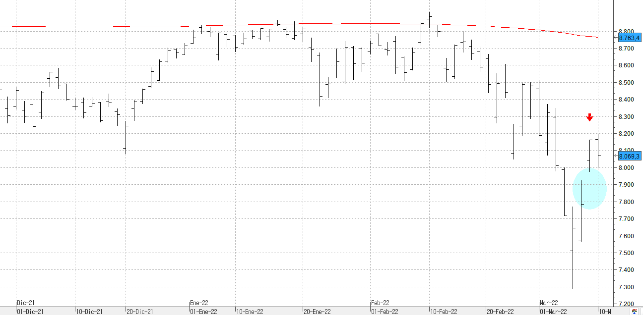 c100322ibex