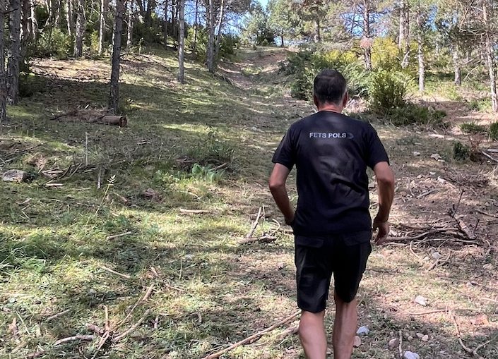 captura de pantalla 2023 11 13 a les 183404