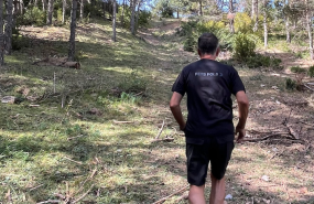 captura de pantalla 2023 11 13 a les 183404 captura de pantalla 2023 11 13 a les 183404