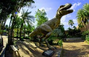 dino 2 20260527100308 dino 2 20260527100308