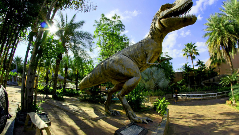 dino 2 20260527100308 dino 2 20260527100308