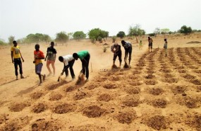 ep agricultores preparansuelola villatougou en burkina faso