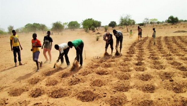 ep agricultores preparansuelola villatougou en burkina faso