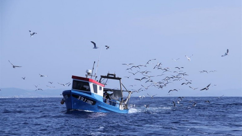 Agricultura publica la concesión de ayudas al pescado voraz en régimen "de mínimis" para el sector pesquero | BDI COMUNICACIÓN - Archivo ep agricultura publicaconcesionayudaspescado vorazregimen de minimis parasector pesquero