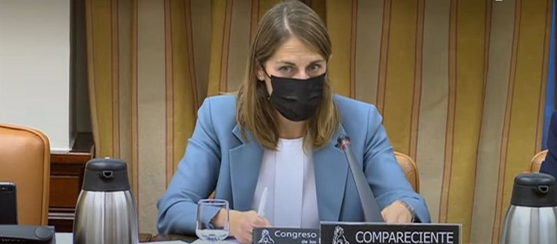 ep archivo la presidenta del fondo de reestructuracion ordenada bancaria frob paula conthe durante ep archivo la presidenta del fondo de reestructuracion ordenada bancaria frob paula conthe durante