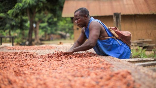 ep archivo   tratamiento del cacao