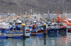 fishing boats fishing boats