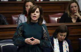 ep la consejera de sanidad del gobierno de canarias teresa cruz en sesion plenaria