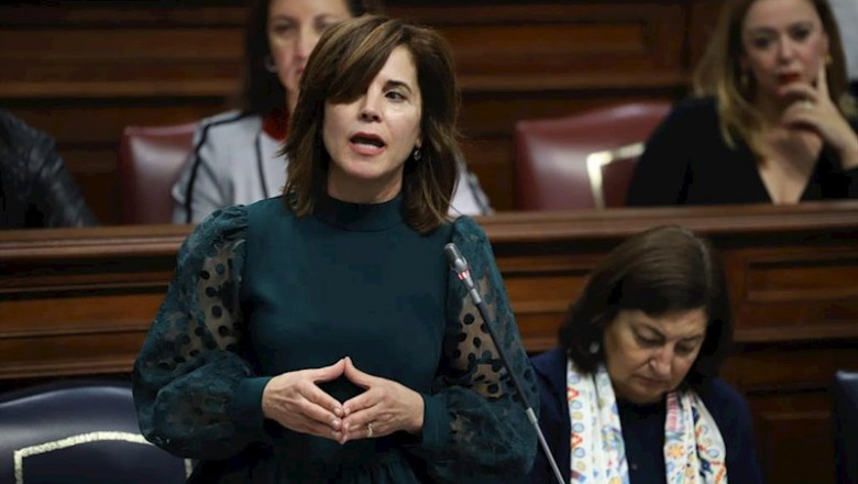 ep la consejera de sanidad del gobierno de canarias teresa cruz en sesion plenaria