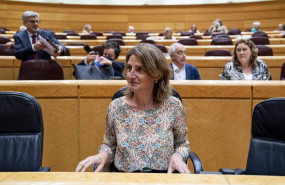 ep la vicepresidenta del gobierno responsable de transicion ecologica teresa ribera en una sesion de
