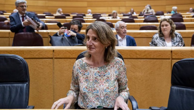 ep la vicepresidenta del gobierno responsable de transicion ecologica teresa ribera en una sesion de