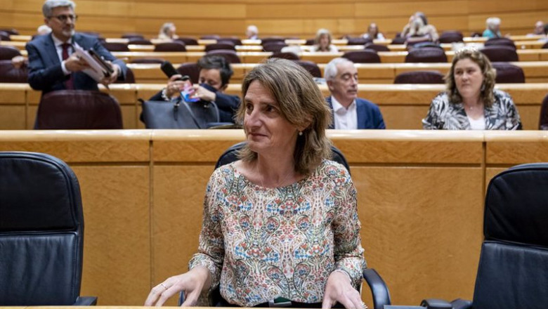 ep la vicepresidenta del gobierno responsable de transicion ecologica teresa ribera en una sesion de