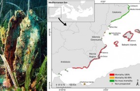 ep mapamortalidadla nacragibraltarcreus