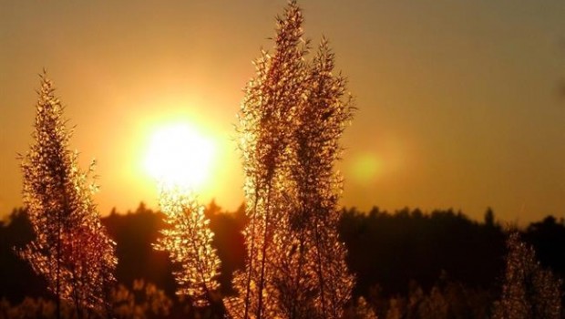 ep sol vitamina d atardecer amanecer