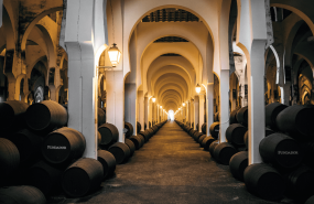 1602060481 bodega la mezquita 1comp