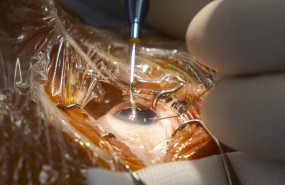  t8b0306 20260216175347 