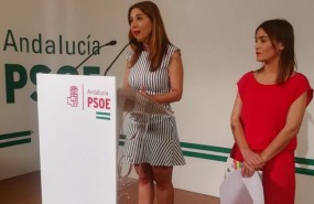 ep beatriz rubino psoe-a en ruedaprensagranada