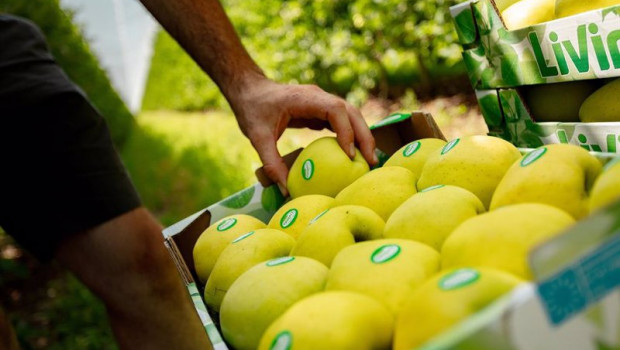 ep carrefour aumenta su compra de manzanas en espana