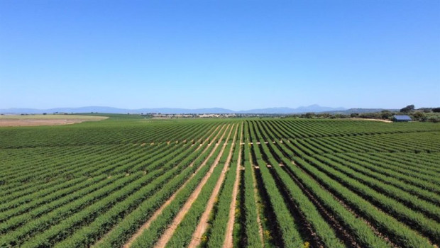 ep finca la copa en logrosan caceres