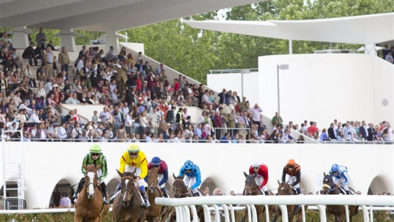 Turf, Hipodromo La Zarzuela | HIPODROMO LA ZARZUELA - Archivo ep turf hipodromozarzuela