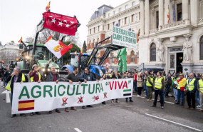 ep varios tractores a su llegada al ministerio de agricultura durante una protesta de agricultores y