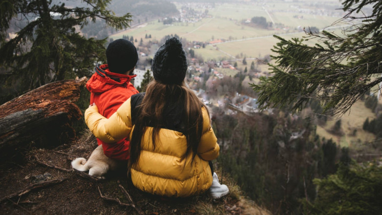 hotel booking trends 