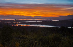 1644425416 amanecer entre lagos y araucarias milenarias 