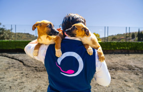 28032025 dsc4434 20250530100754 28032025 dsc4434 20250530100754