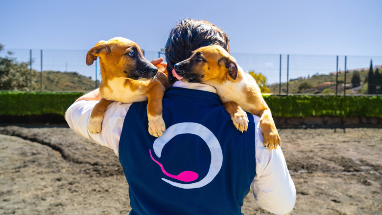 28032025  dsc4434 20250530100754 