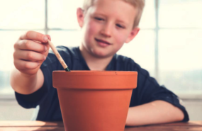 captura de pantalla 2024 07 15 a las 110836