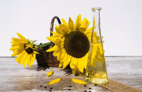 ep aceite de girasol