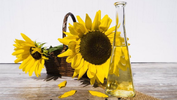 ep aceite de girasol