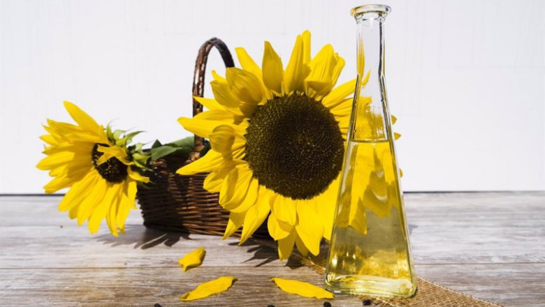 Aceite de girasol. | B2MARKETPLACE ep aceite de girasol