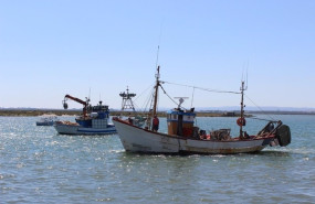 ep archivo   barcos 20250612133606
