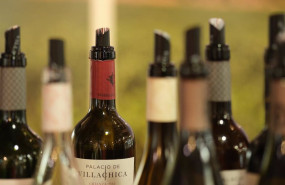 ep archivo   botellas de vino en fenavin