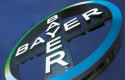 ep archivo   logo de bayer