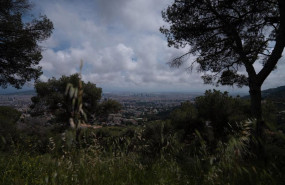 ep archivo   vistas de la ciudad desde el parc natural de la serra de collserola barcelona