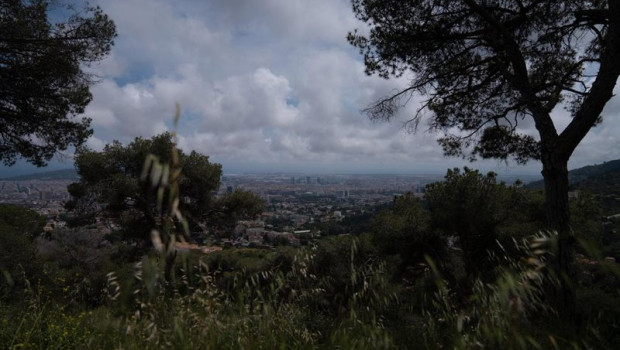 ep archivo vistas de la ciudad desde el parc natural de la serra de collserola barcelona ep archivo vistas de la ciudad desde el parc natural de la serra de collserola barcelona
