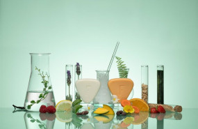 ep champu y gel solidos de freshly cosmetics