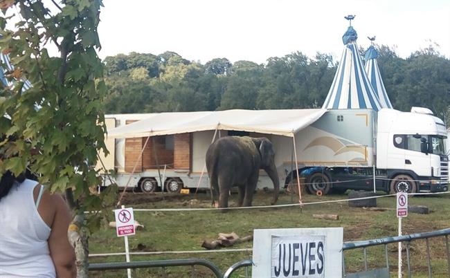 Circo con animales | EUROPA PRESS ep circoanimales