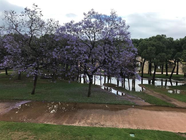 Inundación en el cauce del Turia en Valencia | Europa Press - Archivo ep inundacioncauceturiavalencia