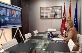 ep la consejera de empresa empleo y economia social marisa lopez aragon durante la videoconferencia